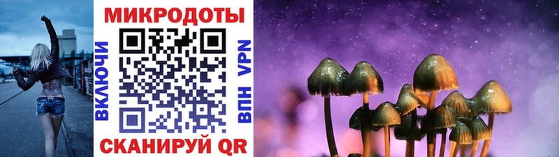 Псилоцибиновые грибы MAGIC MUSHROOMS  где найти   Богородицк 