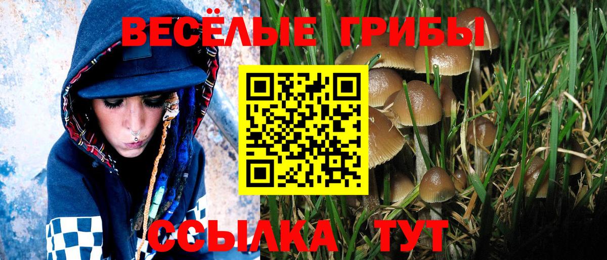 Галлюциногенные грибы ЛСД  Вход с VPN  Богородицк  Псилоцибиновые грибы ЛСД 